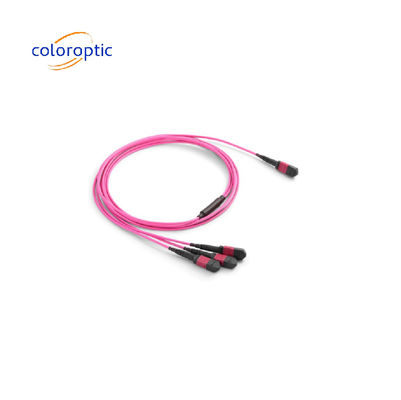 MTP / MPO Multimode Single Mode Fiber Patch Cable 40G / 100G Compatible OM3 / OM4