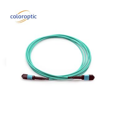 MTP MTP Female To Female Fiber Optic Patch Cord OM3 100 / 400G PVC / LSZH