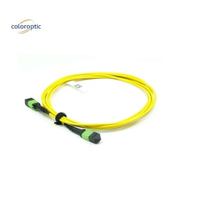OM3 MPO Patch Cord 12 Core Aqua Fiber Optic Connector For Efficient Networking