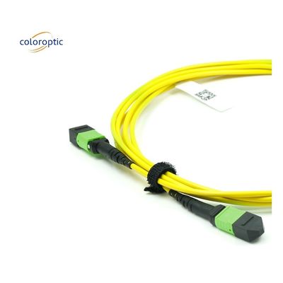 Single Mode MPO Optical Cable OM3 Fiber Grade With PVC Jacket