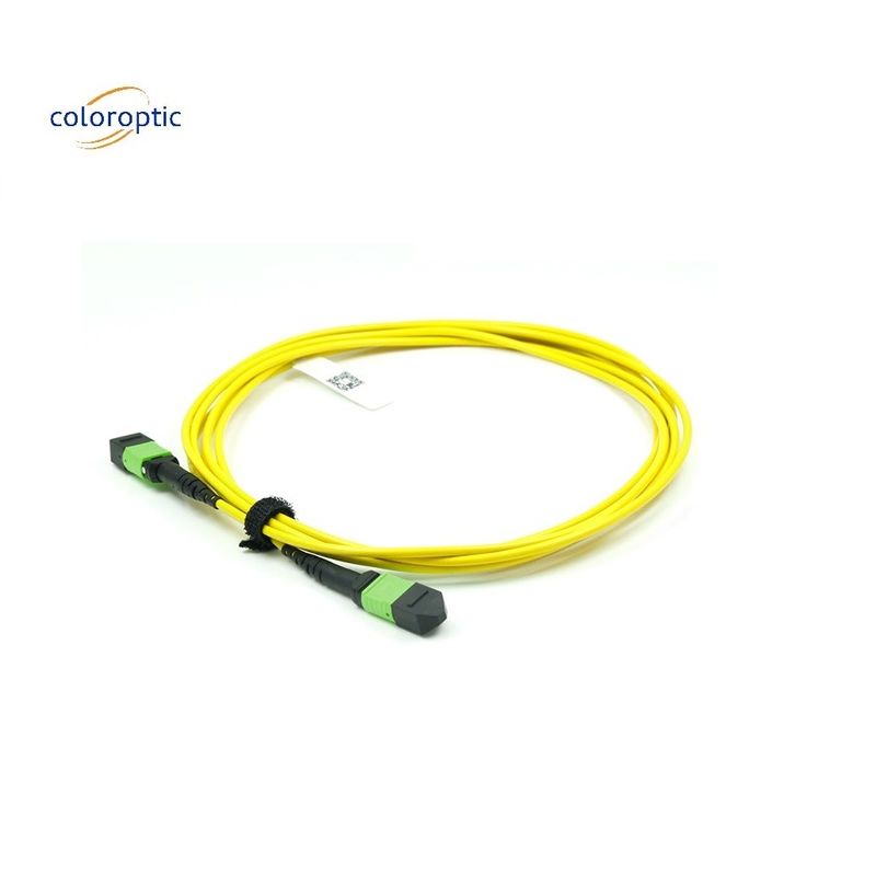 OM3 MPO Patch Cord 12 Core Aqua Fiber Optic Connector For Efficient Networking