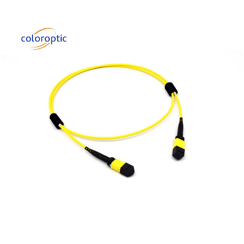 Mtp(Mpo) Patch Cable Singlemode 12 Fibre Type B Female To Female Connector Pc Polishing
